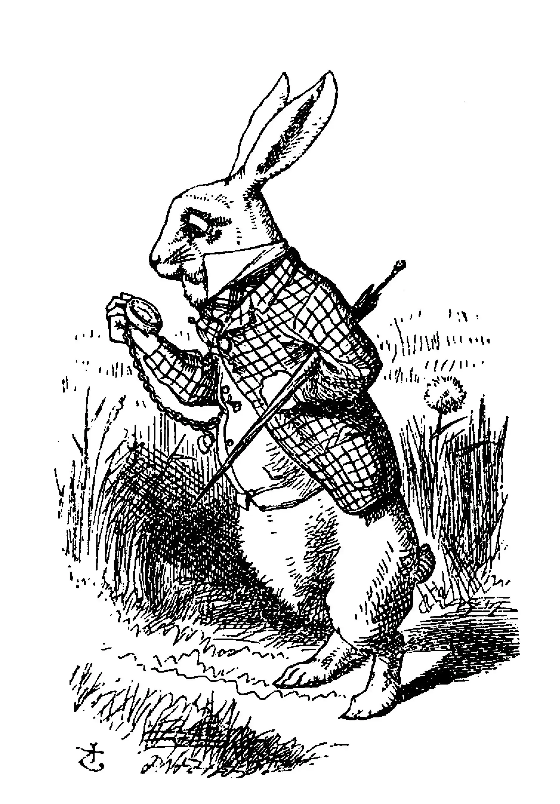 Down the Rabbit Hole