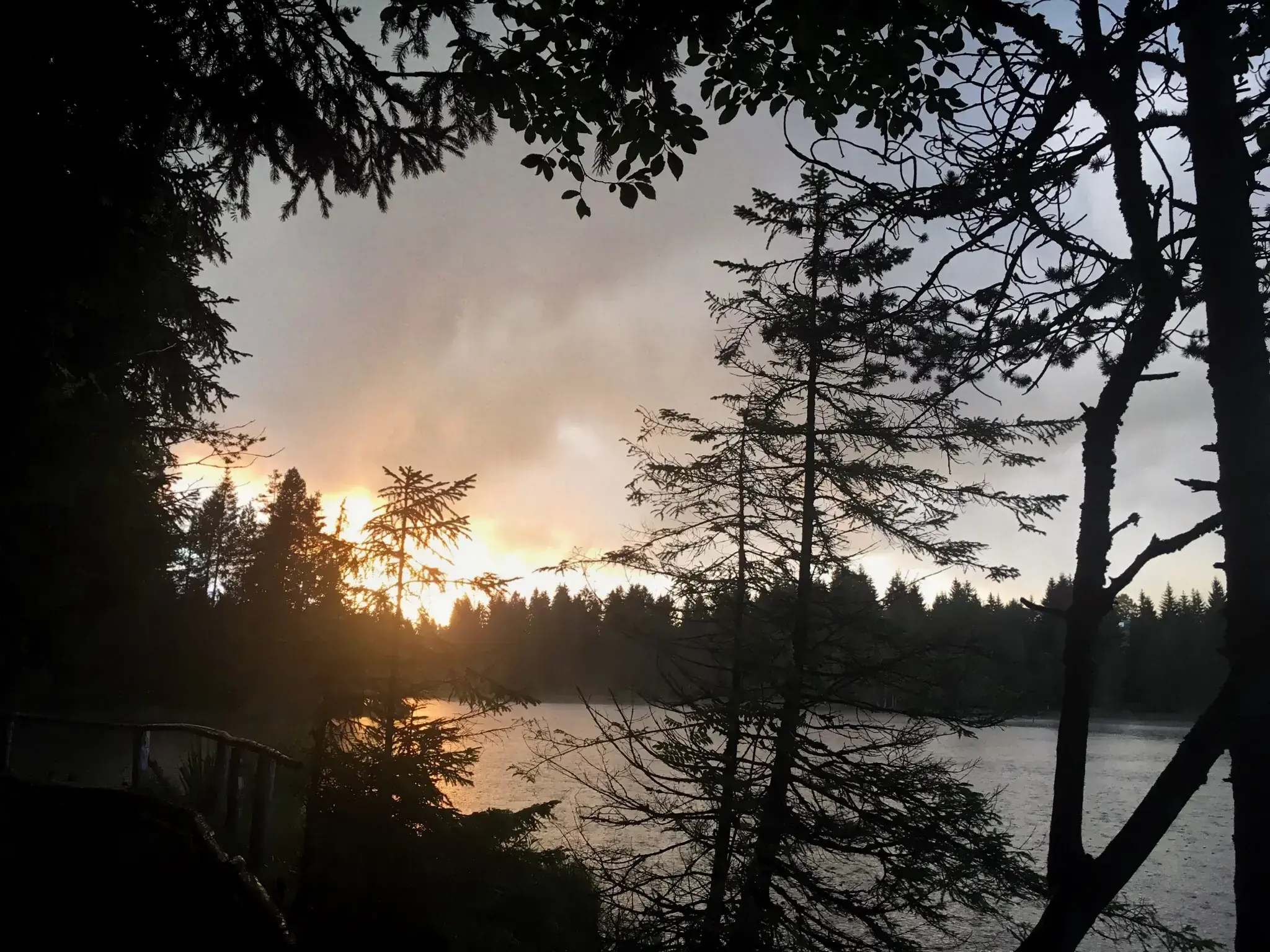 Grainy rain at sunset, Tramelan. Smuggling into Absinthe-land